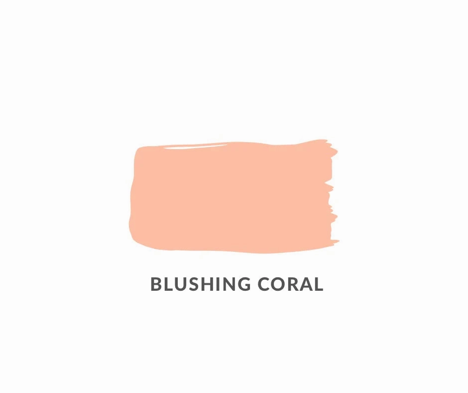 Blushing Coral: Daydream Apothecary Clay and Chalk Artisan Paint