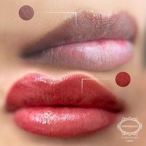 Curso Lip Blush