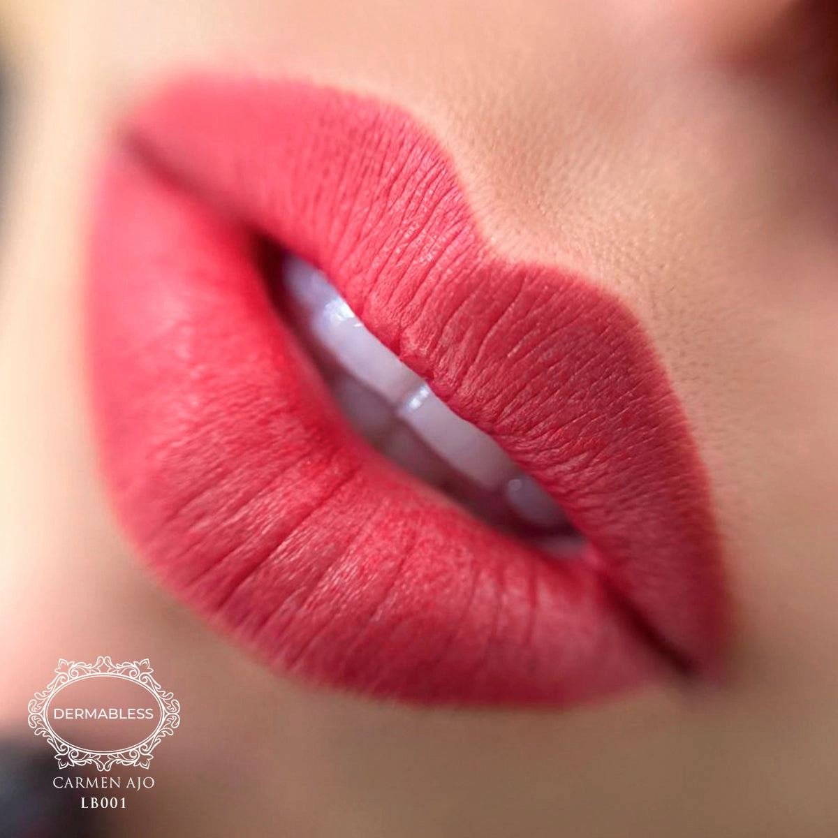 Curso Lip Blush