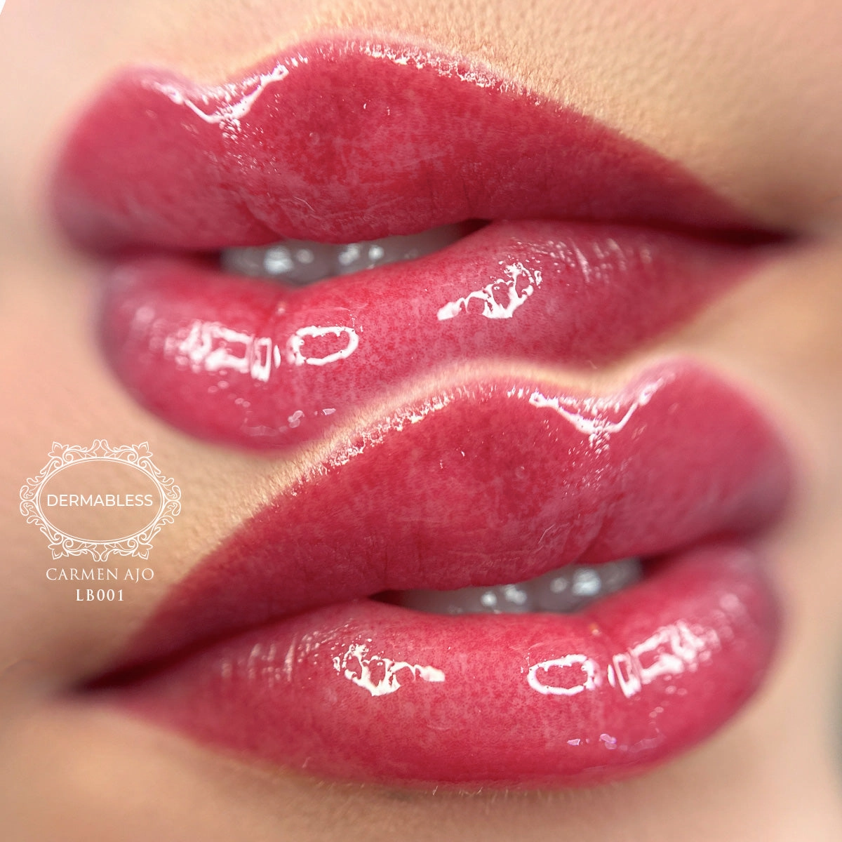 Curso Lip Blush