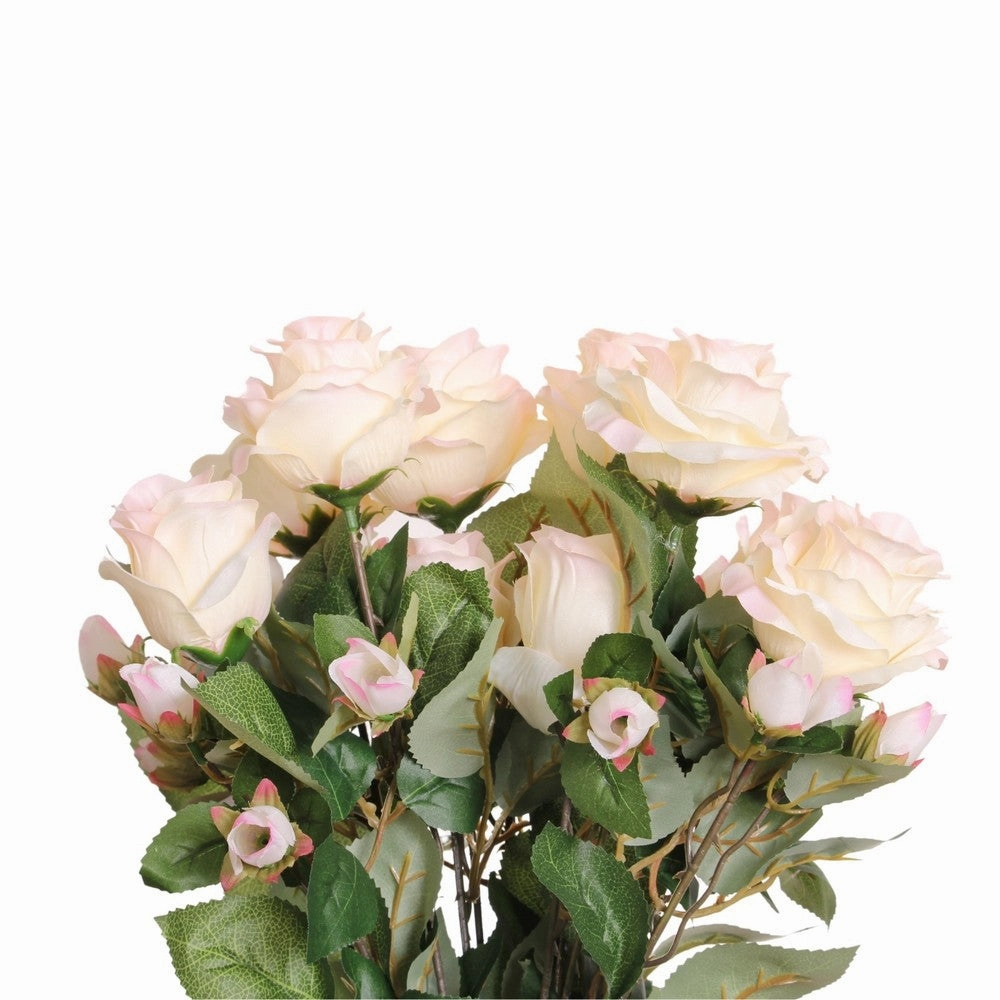 ETERNITY ROSE BUSH X 12/ BLUSH