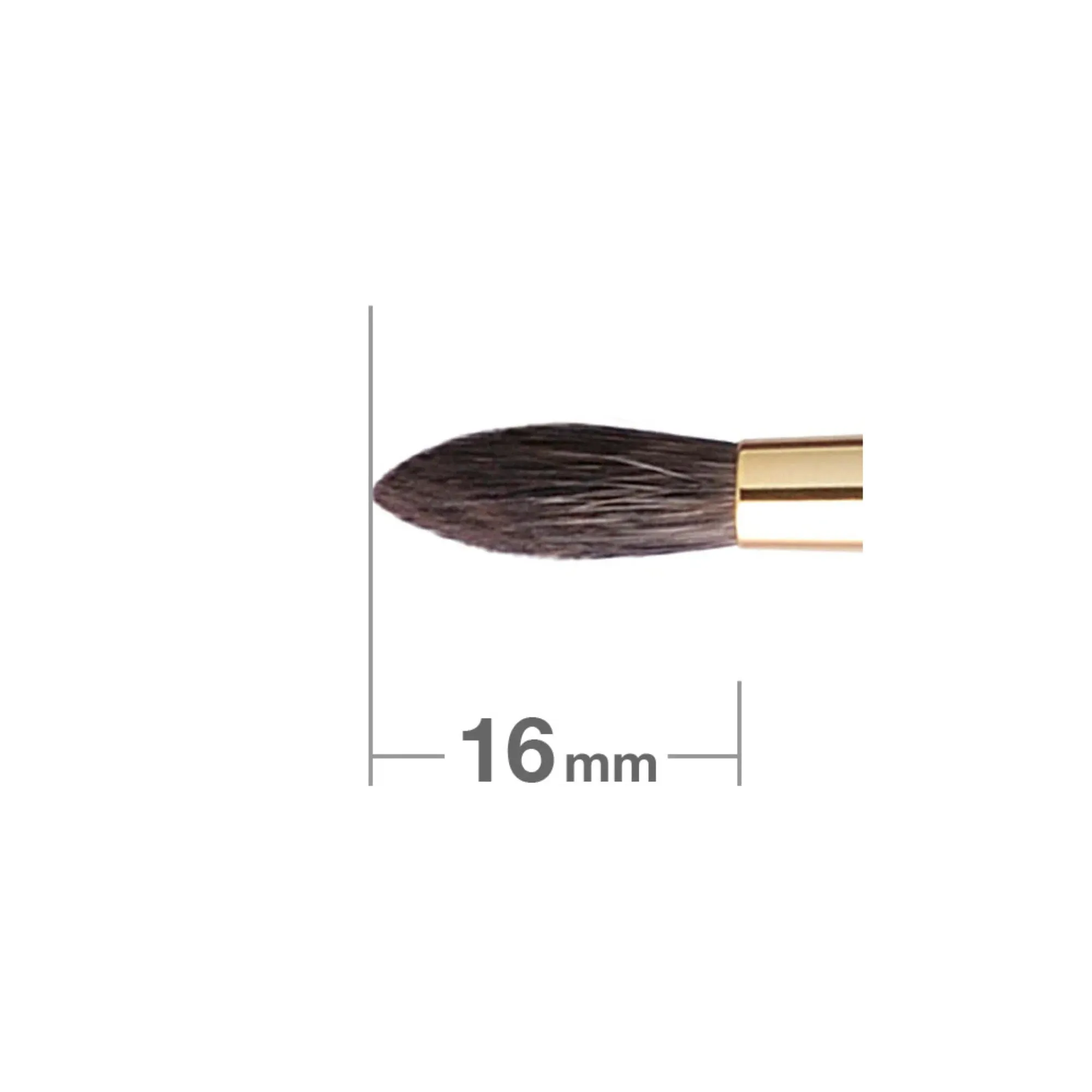 Hakuhodo S146Bk Eyeshadow Brush Round