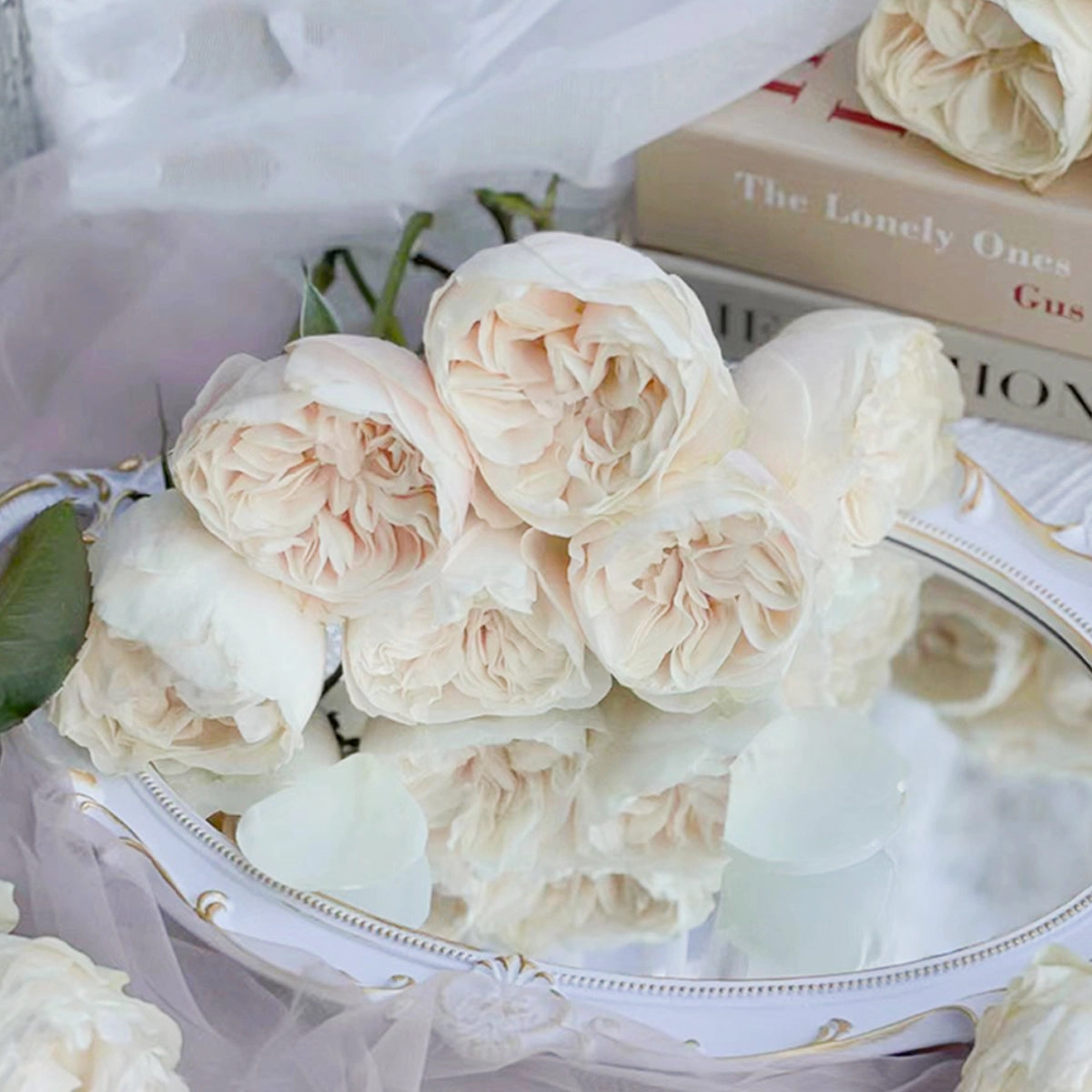 Netherlands Florist Shrub Rose Inspired by Chiffon
