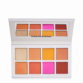 Scott Barnes Chic Cheek No 1 Blush Palette